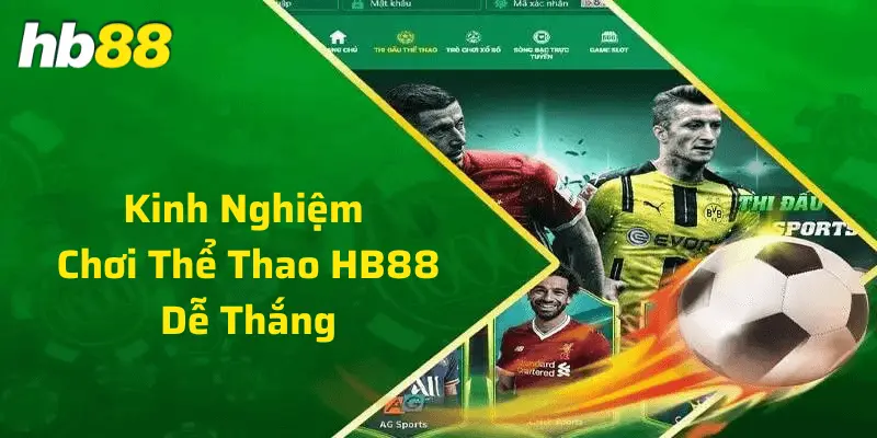 Kinh nghiệm chơi thể thao tại Hb88 chắc thắng