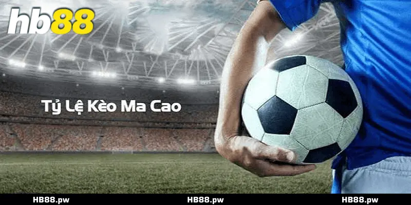 Cách Xem Kèo Macao Chính Xác Tại HB88